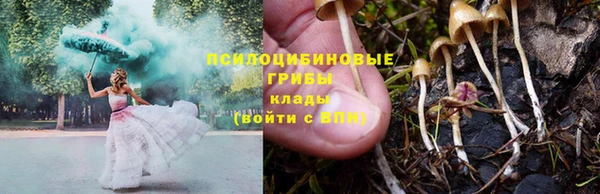 соль курить ск Белокуриха