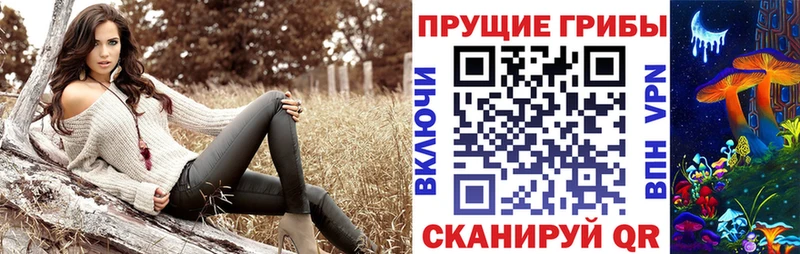 даркнет сайт  Горячий Ключ  Псилоцибиновые грибы прущие грибы 