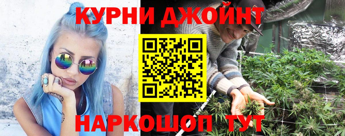 Шишки марихуана марихуана  Вход с VPN  Шишки марихуана план  Горячий Ключ  Каннабис планчик 